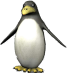 pingouin